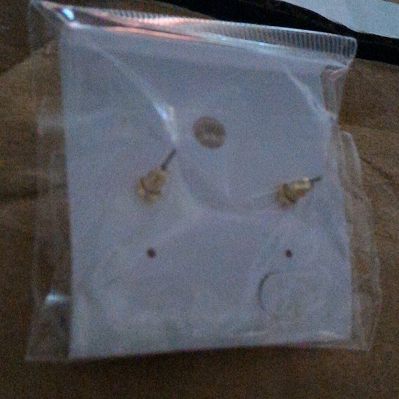 Lady bug earrings NWOT - Picture 3 of 4
